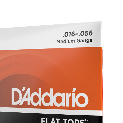 D`ADDARIO EFT13 фото 4